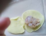 Hình bước làm 6 của món Há cảo tạo hình ngộ nghĩnh