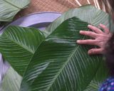 Hình bước làm 7 của món Bánh chưng Tết