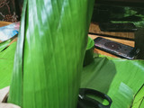 Kue keranjang/ kue bakul / Nian Gao