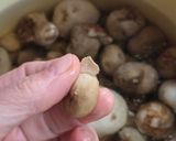 Foto del paso 3 de la receta: Chuño 🥔 papa ancestral del altiplano andino 🥔congelada y deshidratada de forma natural 🥔