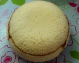 A picture of step 18 of Double Mousse Dome Cake (Zuccotto Cake).