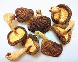 A picture of step 12 of Umami and Nutrition Packed Dried King Oyster Mushrooms.