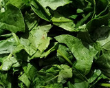 पालक पनीर (Palak Paneer Recipe in Hindi) रेसिपी चरण 1 फोटो
