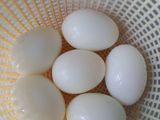 Telur Bumbu Kuning