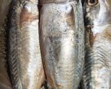Foto langkah ke 1 dari resep 🐟🐟Kembung pesmol.