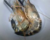 A picture of step 1 of Garlic and Pepper Prawn Serve with Green Jasmine Rice.