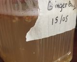 รูปขั้นตอนการทำที่ 3 ของ Ginger Bug