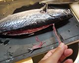 A picture of step 2 of Preparing Frigate Mackerel (Katsuo).
