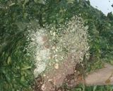 Foto del paso 3 de la receta: "Mal echo de Acelga"