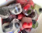 Une image de l'étape 7 de Les Glaçons fêtent les 🍎fruits 🍉🍇🍒🍓🍋.