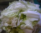 A picture of step 3 of My Grandma's Signature Dish- Steam-Simmered Pork Belly and Chinese Cabbage *.