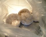 A picture of step 2 of Shiitake with Gochujang.