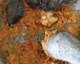 Foto langkah ke 4 dari resep Daun singkong tempe dalon.