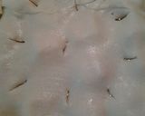 A picture of step 8 of Apple lasagna.