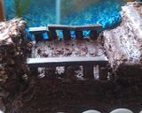 A picture of step 13 of Vickys Pirate Galleon Cake!.