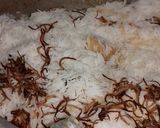 A picture of step 13 of Beef Biryani.