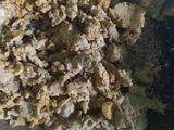 Steak tempe