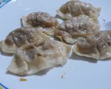 A picture of step 4 of Steamed “Clean Out the Fridge” Ravioli.
