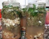 Foto del paso 4 de la receta: Regaló de Navidad chimichurri criollo