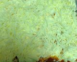 A picture of step 12 of Super Easy Meaty Baked Ziti.