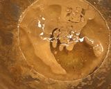 Foto del paso 6 de la receta Bizcocho jugoso de limón y coco