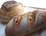 A picture of step 11 of For Beginners: Yogurt Bread Starter (Leaven).