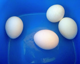 Foto del paso 1 de la receta: Panqueques Sin Lactosa