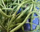 मोगरी मूली की सब्जी (Mogri Mooli ki Sabji recipe in hindi) रेसिपी चरण 1 फोटो
