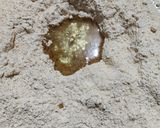 A picture of step 2 of Multi flour muthiya.