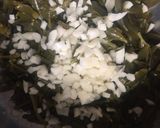 عکس مرحله 2 از دستور بورانی خرفه