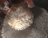 Foto del paso 9 de la receta: Garibaldis