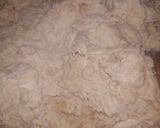 A picture of step 2 of Rogane phrtha.