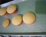 Foto del paso 7 de la receta: Garibaldis