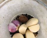 Foto langkah ke 5 dari resep Sup Ayam Sekeluarga Suka.