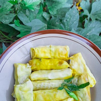 Xolaning tukli videosi bilan mushuk