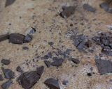 Foto del paso 4 de la receta: Torta de banana y chocolate 🍫 🍌
