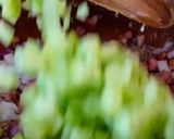 Foto del paso 3 de la receta: Ceviche de sardina en lata