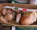Foto del passaggio 1 della ricetta Petto di pollo a porcini