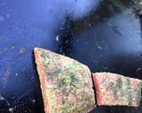 Une image de l'étape 4 de Pavés de saumon marinés et aneth à la plancha.