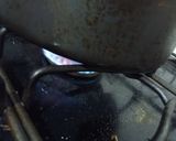 Foto del paso 3 de la receta: Tacos dorados con sopa de caracol usando caldo de pollo