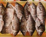 Sült keszeg recept fázis 1 fotója