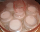 Foto del paso 2 de la receta: Yogurt de queso crema sin azúcar añadido