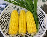 Hình bước làm 1 của món Sữa bắp 🌽🌽