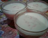 Foto langkah ke 5 dari resep Puding Puyo Sederhana Ala Nisa Abdina.