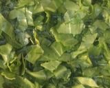 A picture of step 6 of Gobhi Palak gosht.