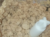 Albóndigas de soja texturizada