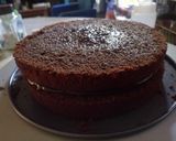 Foto del paso 15 de la receta: Pastel pulverizado de chocolate
