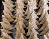 પટ્ટી સમોસા (Patti Samosa Recipe In Gujarati) રેસીપી સ્ટેપ2ફોટો