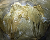 A picture of step 2 of Stuffed Grape Leaves Batch 5.
