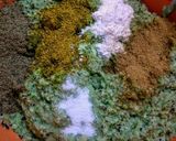 Foto del paso 11 de la receta: FALAFEL De Fríjol Cabecita Negra...!